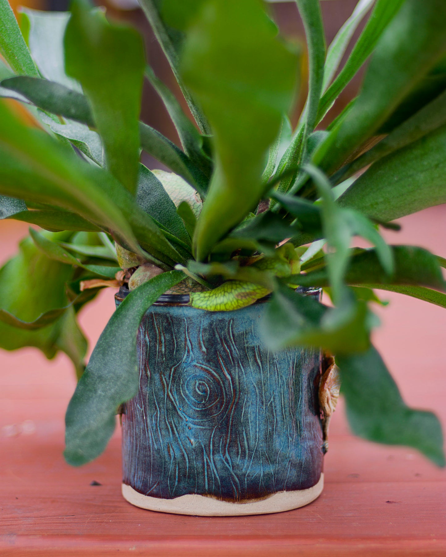 Mushroom Planter