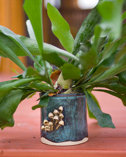 Mushroom Planter