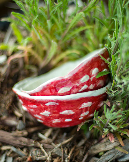 Mushroom Cap Dish