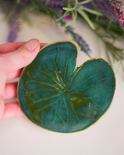 Lily Pad Leaf Coasters