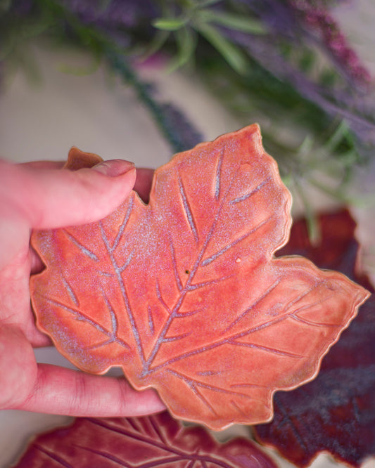 Maple Leaf Coaster